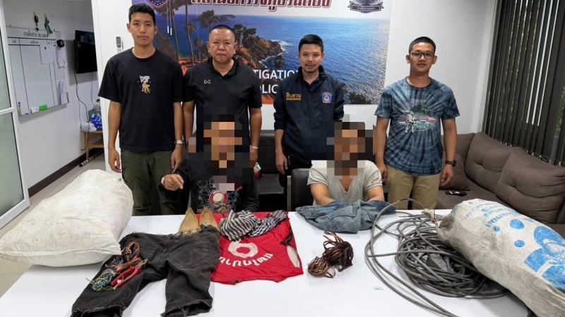 Brothers arrested over electrical cable thefts