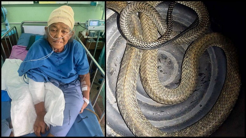 Cobra bites sleeping woman in Mai Khao