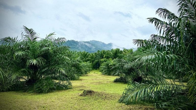 Biofuel initiative gains government backing